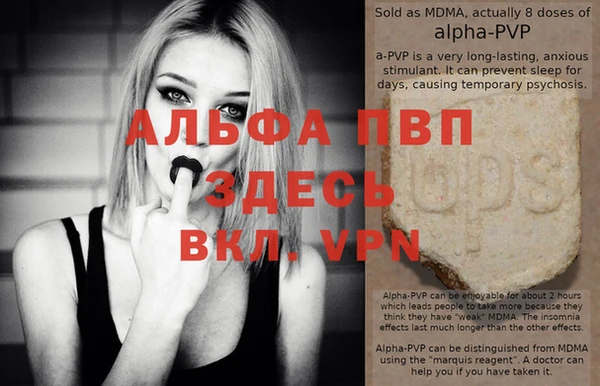 мет Алексин