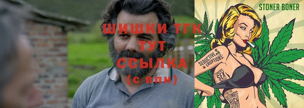 гашик Алексеевка